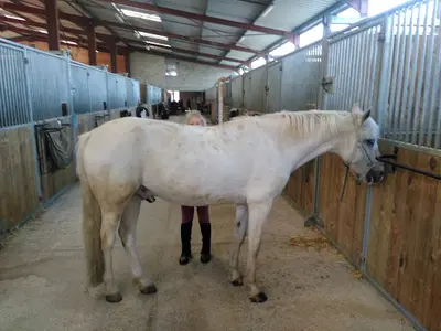 Centre Equestre de l'Aunil