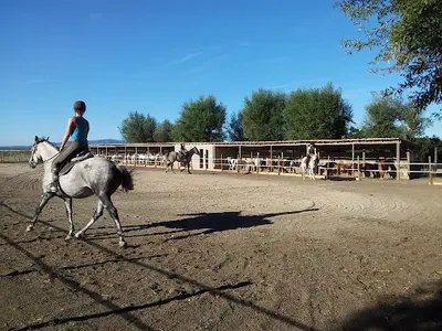 Manade Tournebelle
