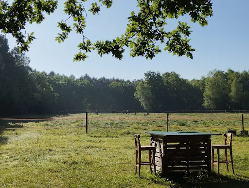 Ferme Équestre de Naviac
