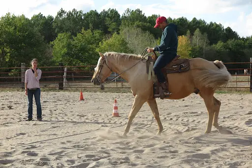 Marine Western Equitation