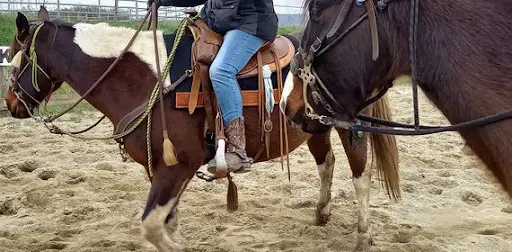 Le Ranch des Centaurées