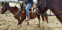 Le Ranch des Centaurées