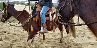Le Ranch des Centaurées