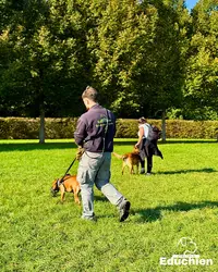 Educhien - Alexis Bonnarang & Cie - Éducateurs Canins Comportementalistes