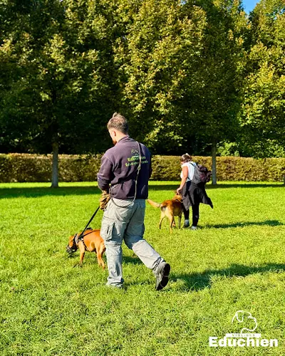 Educhien - Alexis Bonnarang & Cie - Éducateurs Canins Comportementalistes