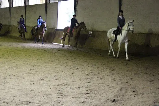 Centre Equestre les Fauvettes