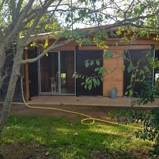 Pension Canine de la Loube
