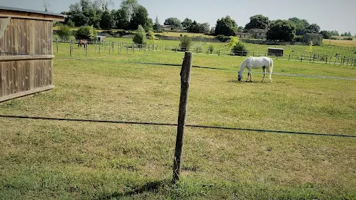 Haras de Mai - Ecurie de Propriétaires & Ecole d'Equitation