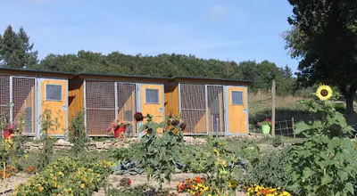 Pension et Education Canine de la Ganne de Fer