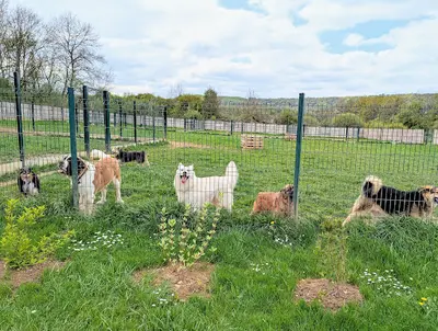 Ecpv-espace Canin de la Plaine Vosgienne
