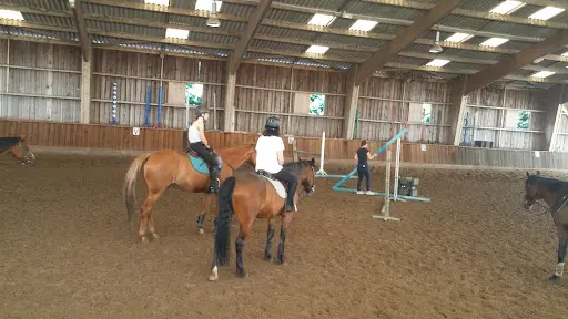 Centre Equestre les Rives de Paris - Neuilly-sur-marne