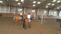 Centre Equestre les Rives de Paris - Neuilly-sur-marne