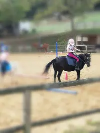 Centre Equestre de Neuvic sur l'Isle