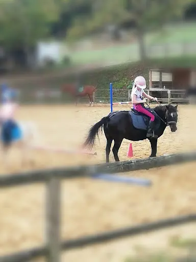 Centre Equestre de Neuvic sur l'Isle