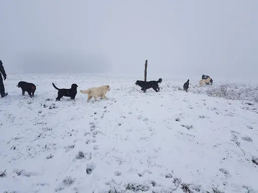 La Colline d'Eole