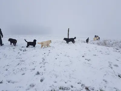 La Colline d'Eole