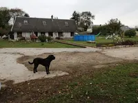 Pet S Holidays