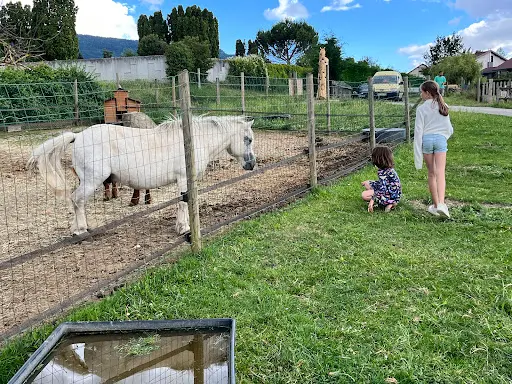 Ranch du Pré des Chênes-guinguette du Ranch