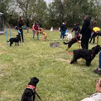 Loveducanin Educatrice Canin Pézenas