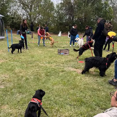 Loveducanin Educatrice Canin Pézenas