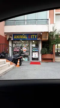 Animal City & Co