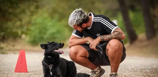 Éducateur Canin - Robin
