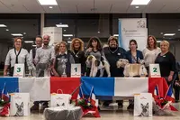 l'Arène des Chiens