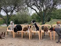Soja & Co Éducation Canine - Victoria Lesbats