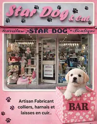 Star Dog & Cat