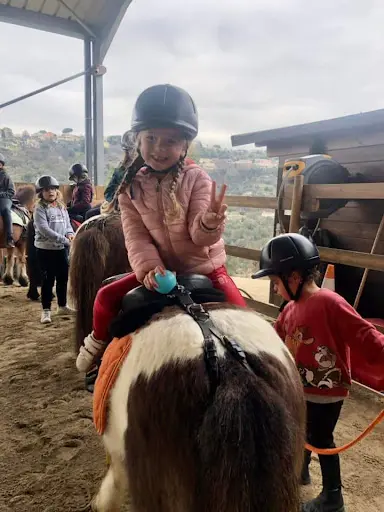 Sun Equitation