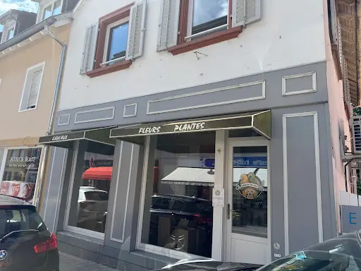 L’arche de Max