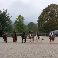 Relais Equestre de la Schlitte