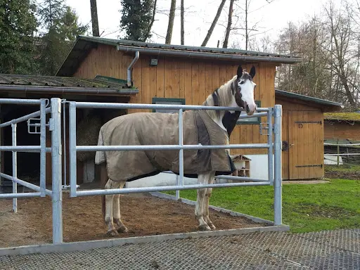 Equivans, Équipements Équestres et Vans Pour Chevaux