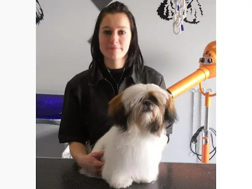 De Bo Poils, Salon de Toilettage Chiens et Chats