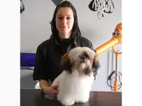 De Bo Poils, Salon de Toilettage Chiens et Chats