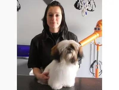 De Bo Poils, Salon de Toilettage Chiens et Chats
