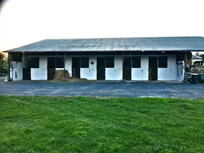 Ferme Équestre les Guittons
