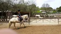 Poney Club des P’tits Bouts