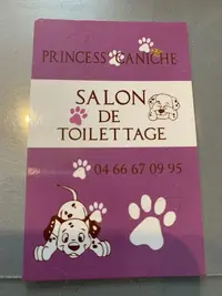 Princess Caniche