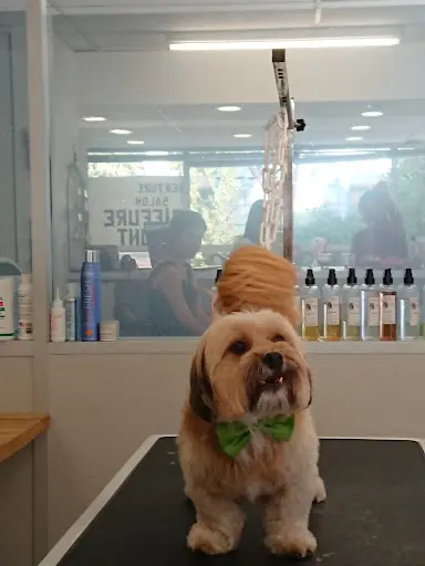 So My Dog