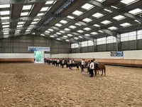 Club Hippique Niortais Association