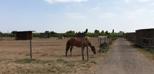La Cavale