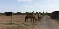La Cavale