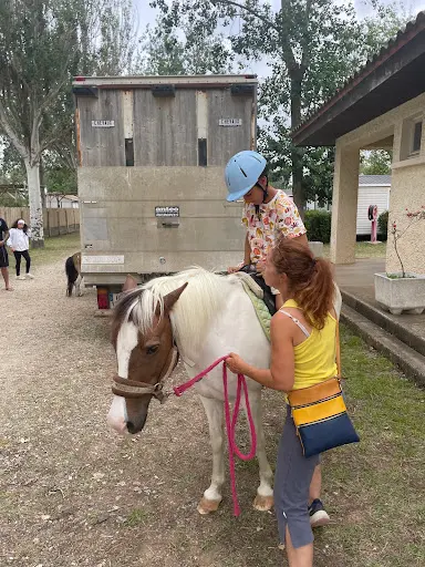 La Magie des Doux Poneys
