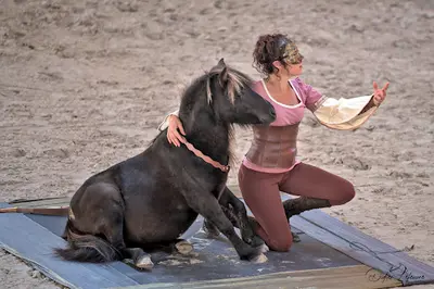 Aurélie Maréchale et Podologue Equin