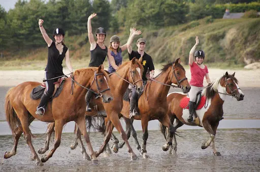 Centre Equestre du Fano et Équicoaching