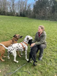 Ker Wouf - Pension Canine - Dog Sitting - Garde de Chiens