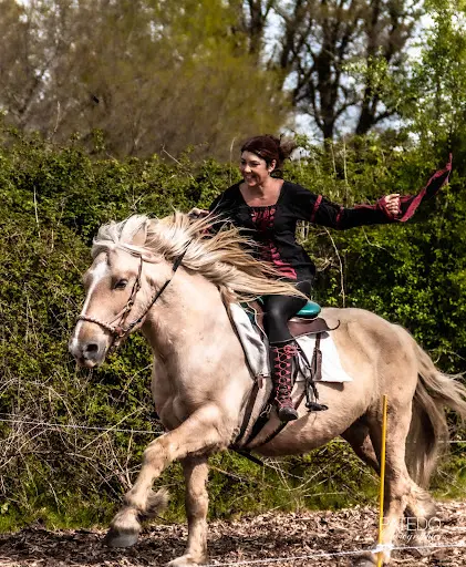 Terre de Cheval et Compagnie