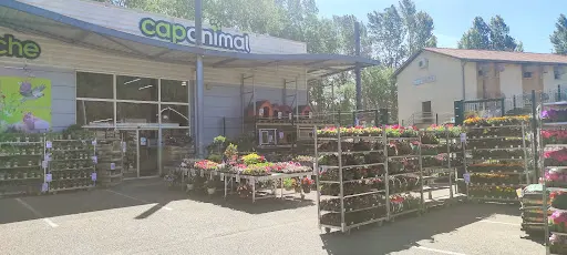 Cap Animal Nivolas Vermelle