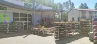 Cap Animal Nivolas Vermelle